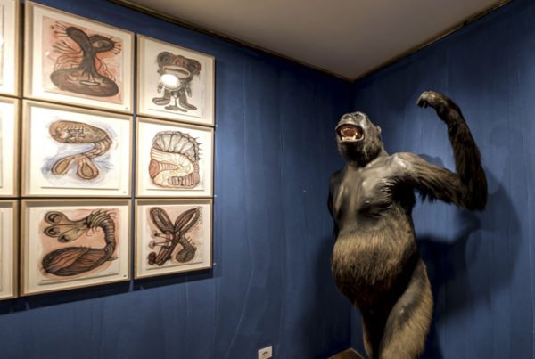 tour 360 galerías